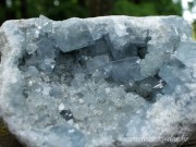 IMG_8844 copy2